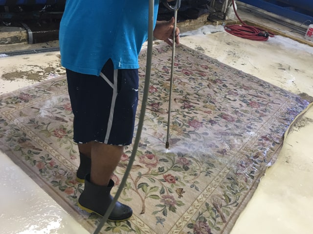 Rug Cleaning Palm Beach