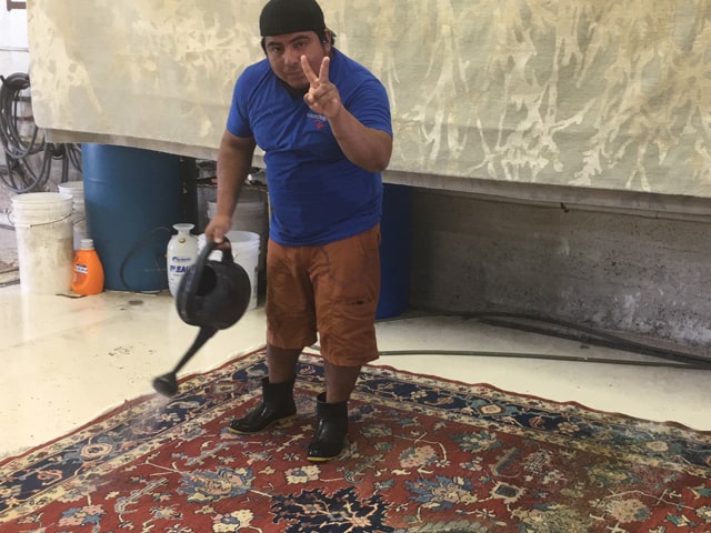 Rug Cleaners in Boca Raton