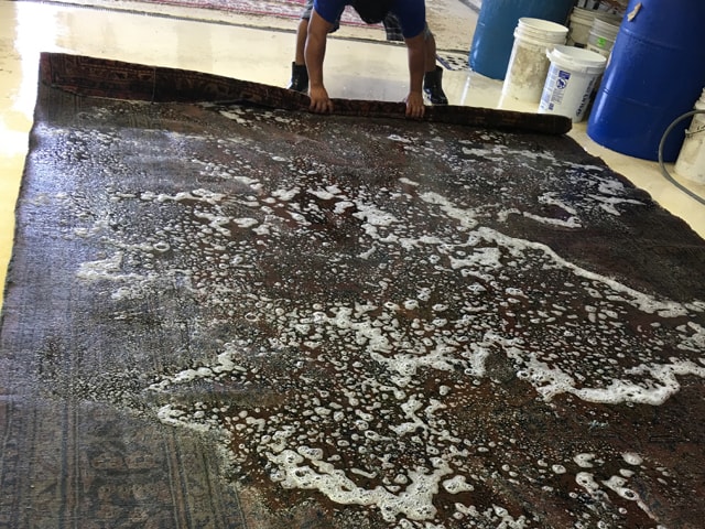 Rug Cleaning in Ft. Lauderdale