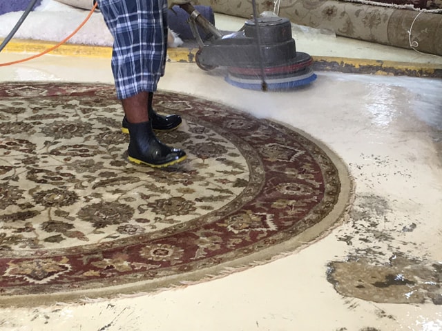 Clean and Restore Area Rugs