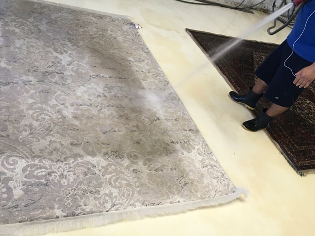 Rug Cleaning in South Florida