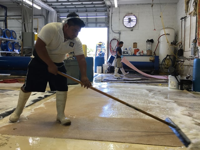 Rug Cleaning Processes
