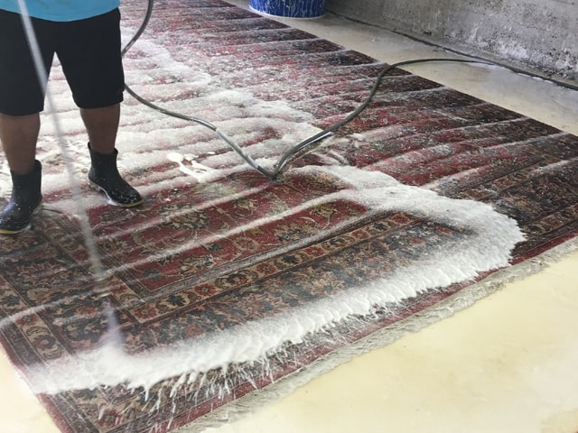 Best Oriental Rug Care