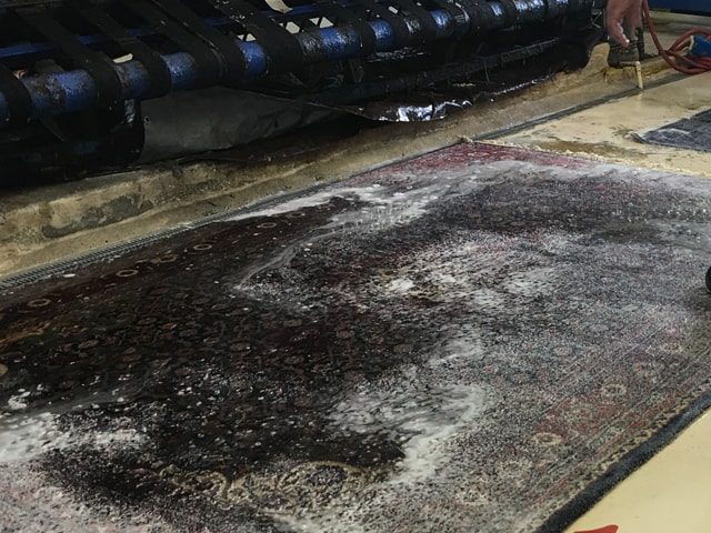 Oriental Rug Cleaning Process in Hollywood