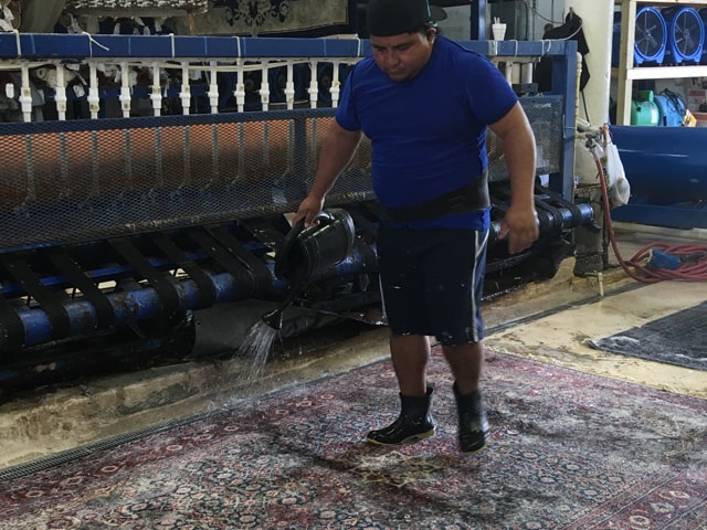 Oriental Rug Cleaning Service in Hollywood