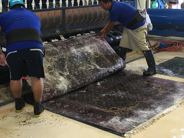 Rug Cleaning Oriental in Hollywood