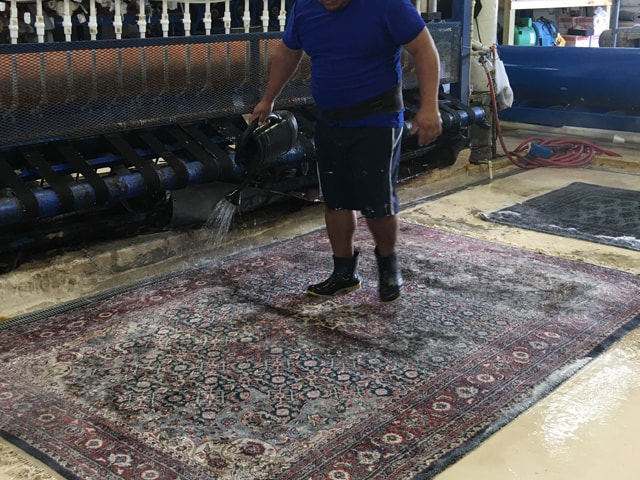 Need Rug Cleaning