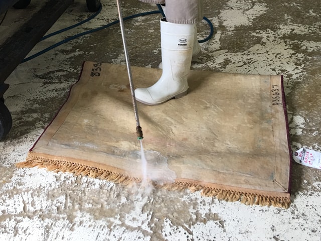 Oriental Rug Cleaning