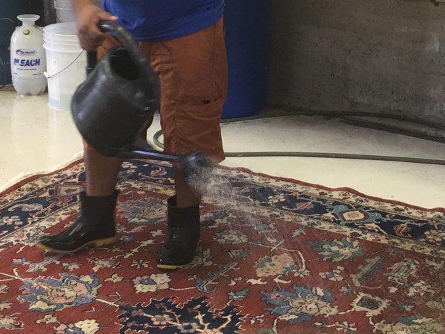 Oriental Rug Cleaning