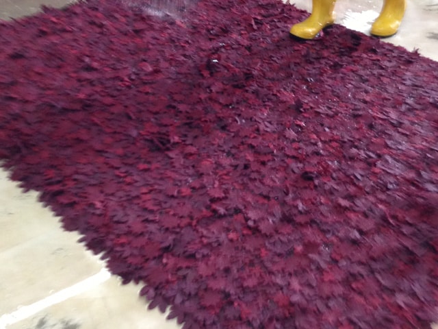 Oriental Rug Cleaning Process