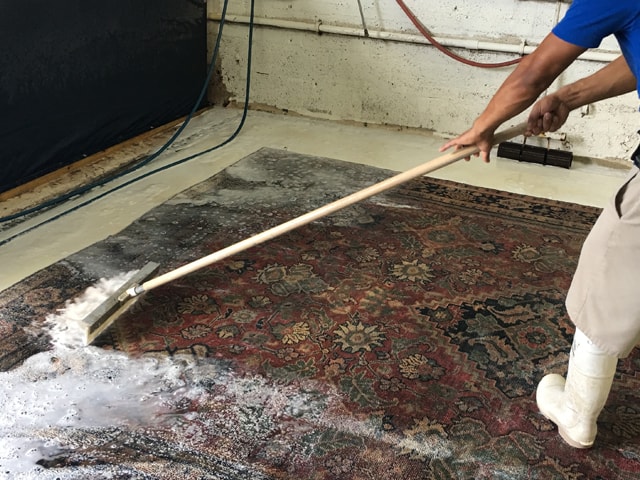 Oriental Rug Cleaning