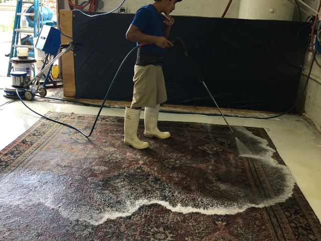 Oriental Rug Process