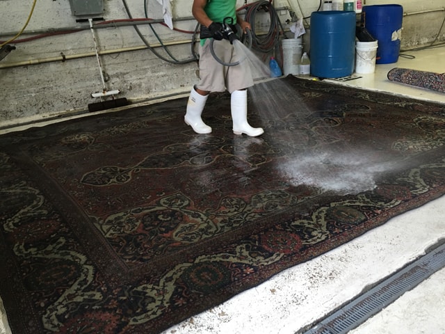 Rug Cleaners Palm Beach