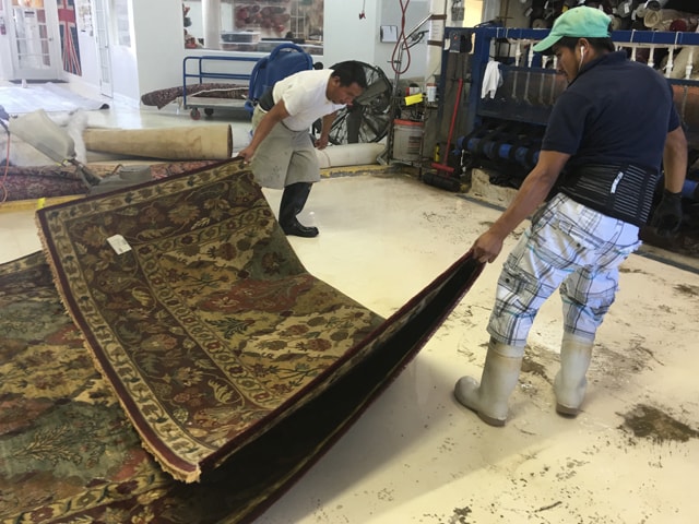 Cleaning Rug Process Boca Raton