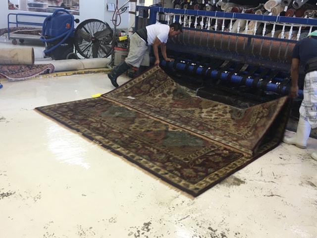 Cleaning Rug Services Boca Raton