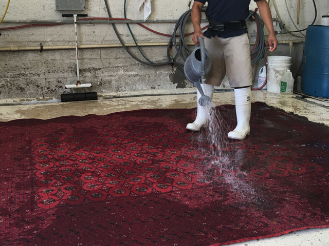 Oriental Rug Cleaning Services