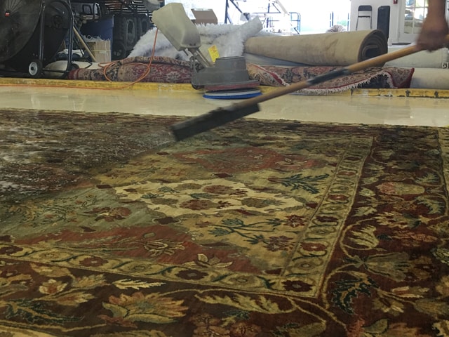 Rug Cleaning in Fort Lauderdale