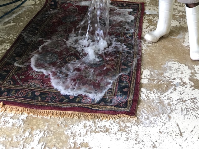 Deep Cleans Persian Rugs Process