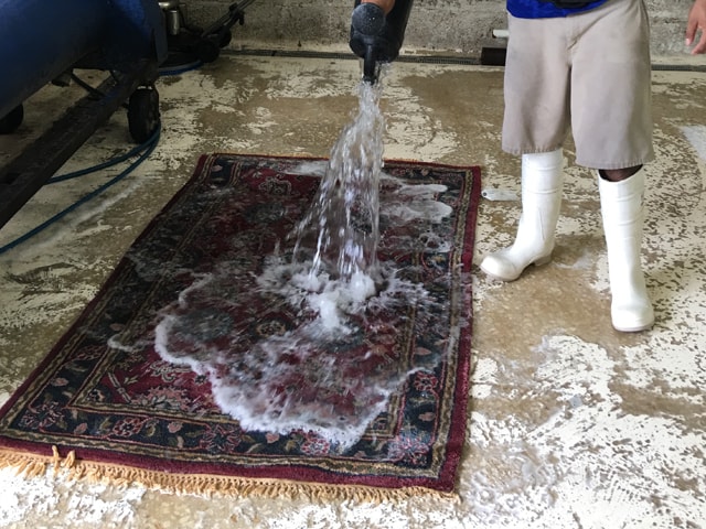 Excellent Oriental Rug Cleaning Process