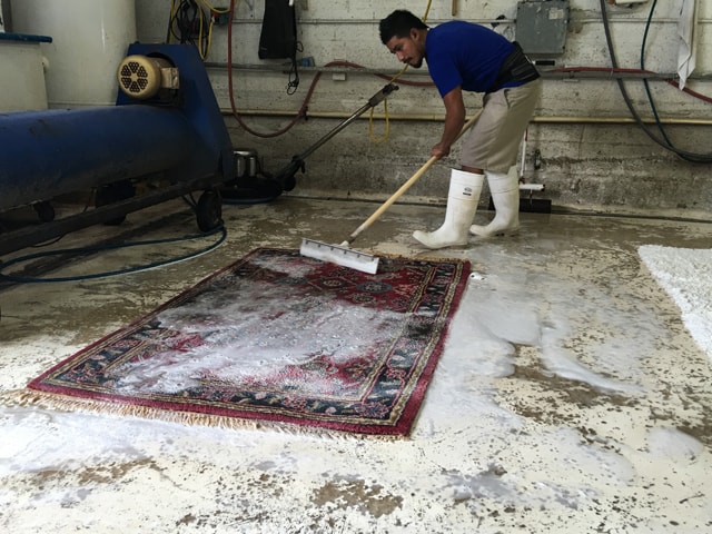 Oriental Rug Cleaning