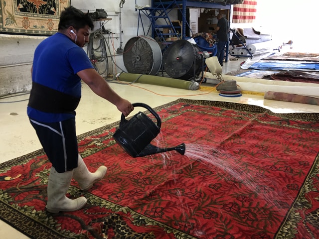 Traditional Rug Cleaners Process