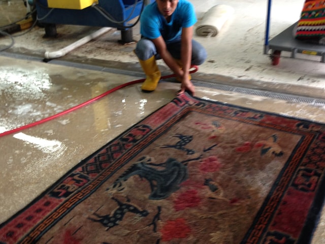 Cleaned Rug in Palm Beach