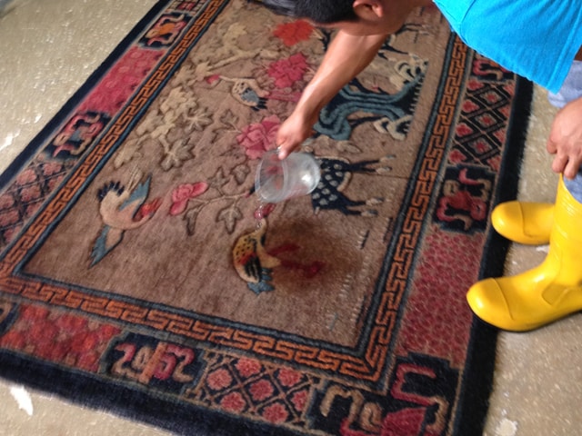 Cleaned Rug