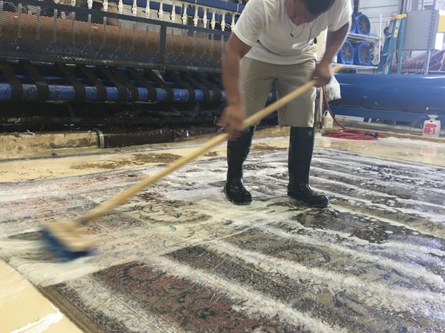 Professional Area Rug Cleaners Process