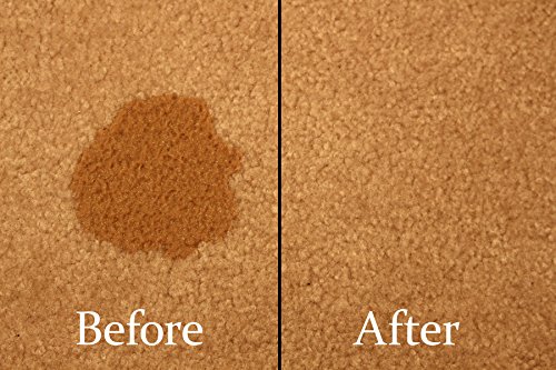 Pet Stain Removal