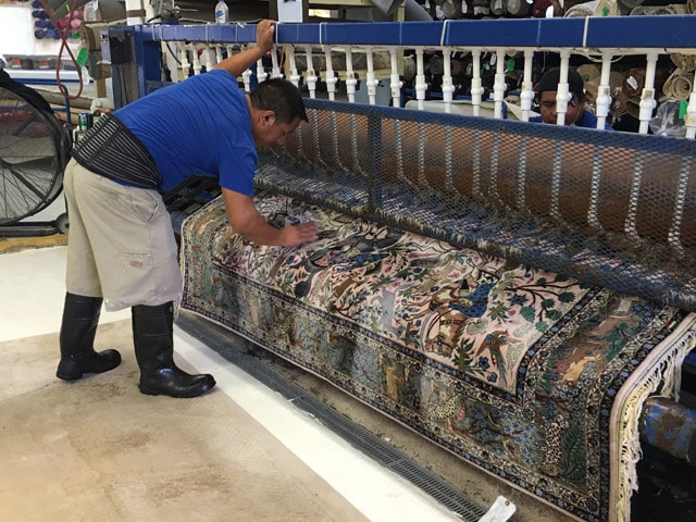 Rug Cleaning Coral Gables