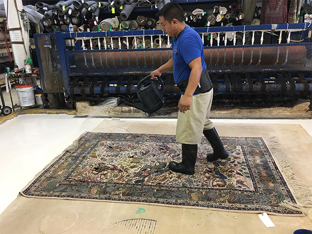 Rug Cleaning Service