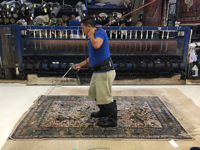 Area Rug Cleaning Services