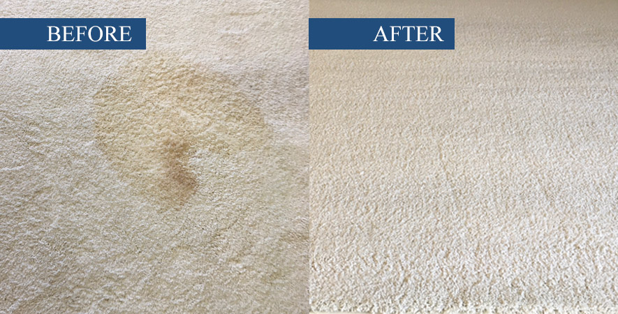 Rug Cleaning Boca Raton