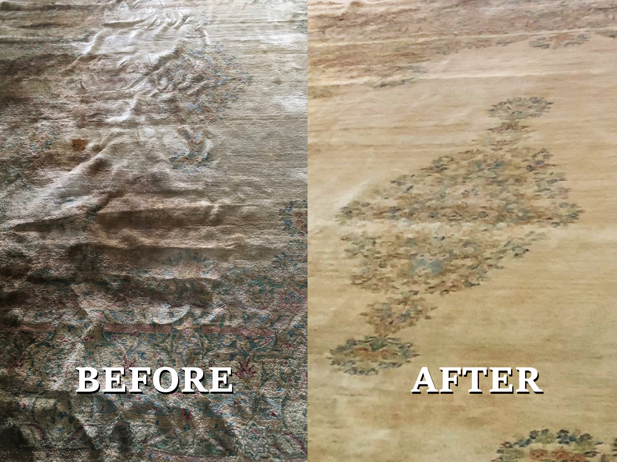 Area Rug Cleaning