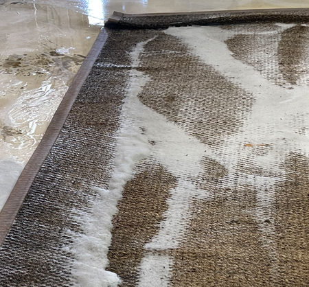 Sisal Rug Cleaning Services
