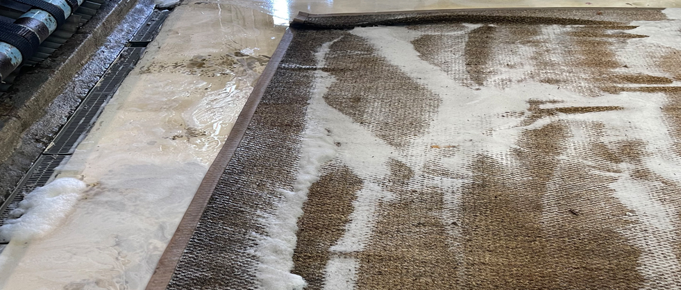 Sisal Rug Cleaning Services