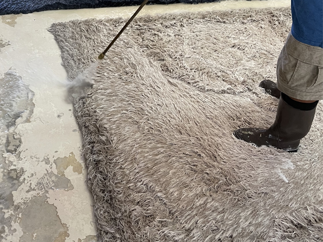 Wool Rug Cleaners