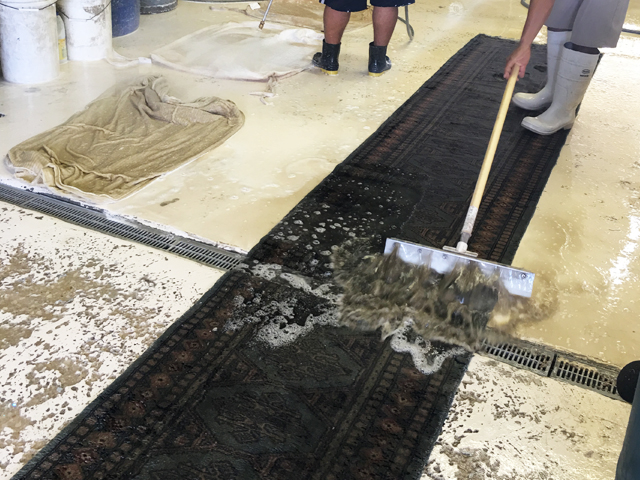 Rug Stain Removal Service
