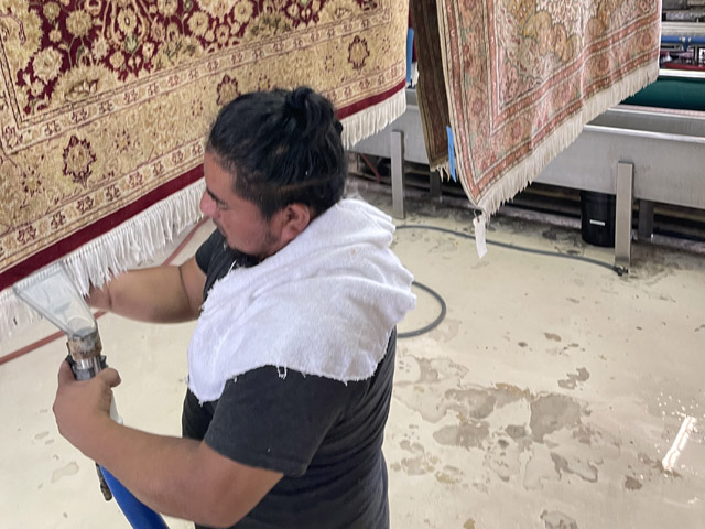 Oriental Rug Cleaning Services