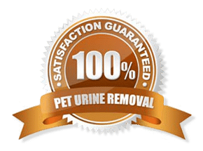 Guaranteed Pet Urine Removal