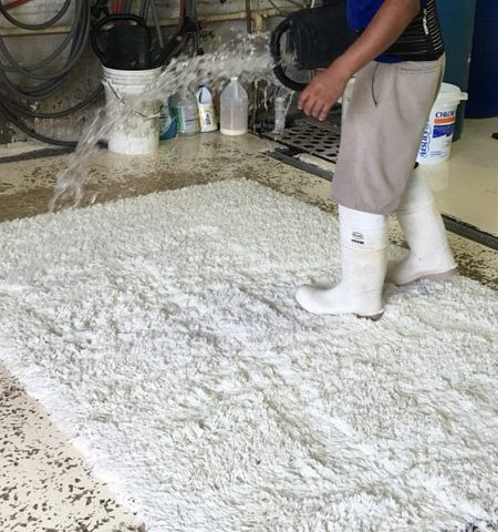 Cleaning Wool Rug