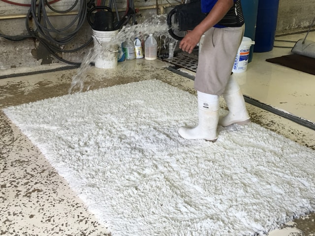 Cleaning Wool Rug