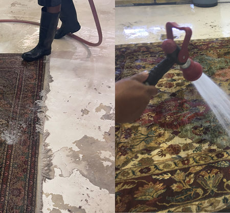 Oriental Rug Cleaning Services