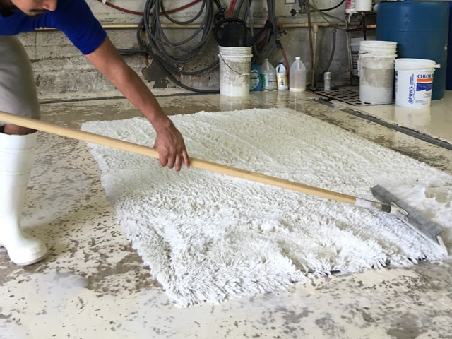 Wool Rug Cleaning