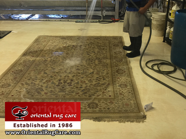 Sisal Rug Cleaners Miami