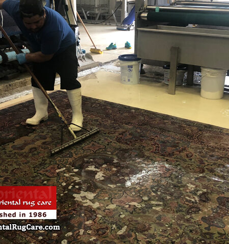 Chinese Rug Stain Clean Jacksonville