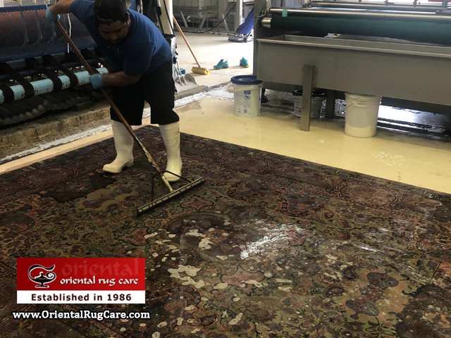 Chinese Rug Stain Clean Jacksonville