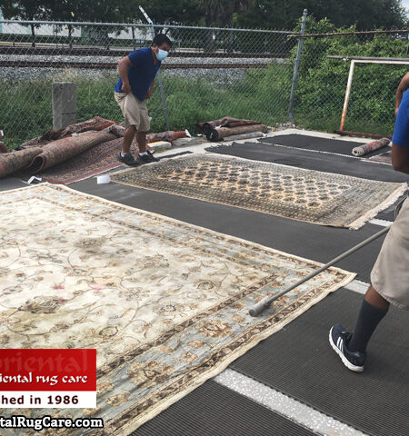 Oriental Rug Dusting Process Lake Worth