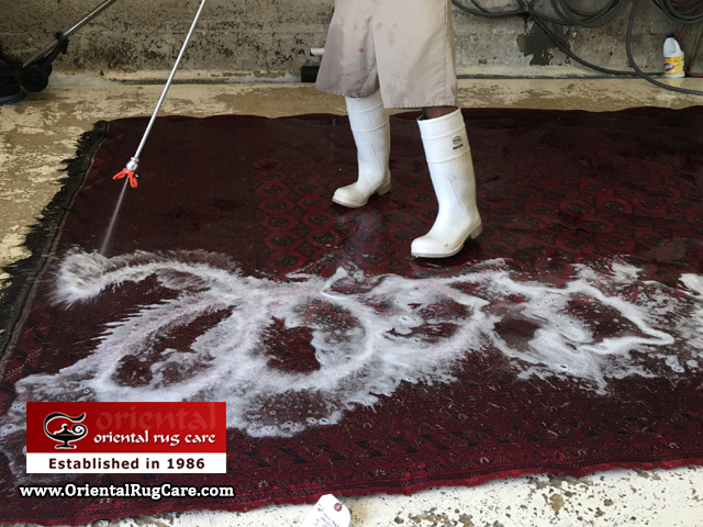 Rug Cleaning Service Hialeah