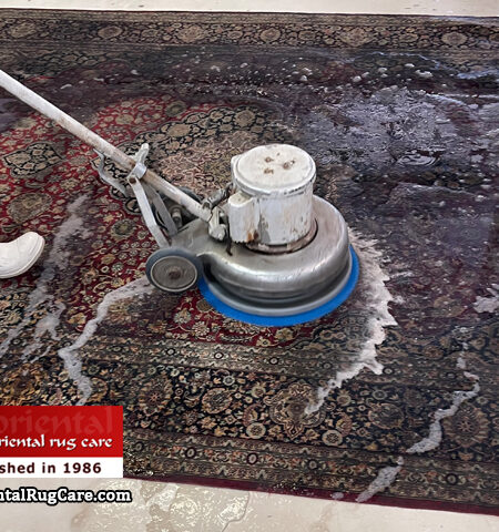 Oriental Rug Deep Cleaning Service Dania